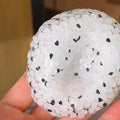 Rice Ball