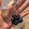 AmiGloz Blueberry Taba Squishy